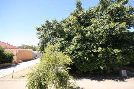 7 Midera Ave, Edwardstown, SA 5039