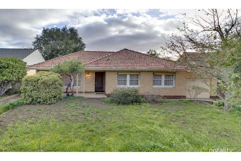 13 Edgcumbe Tce, Rosslyn Park, SA 5072