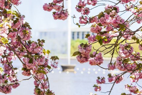 Property photo of 130/116 Easty Street Phillip ACT 2606