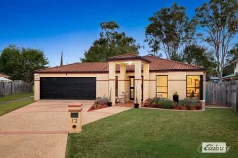 12 Cameron Ct, Daisy Hill, QLD 4127