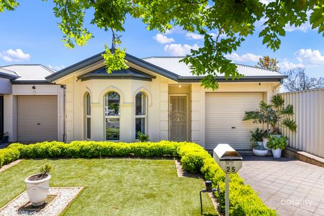 Property photo of 25 Alexander Avenue Campbelltown SA 5074