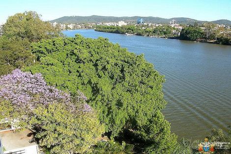 Property photo of 21/164 Macquarie Street St Lucia QLD 4067