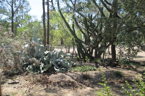 Property photo of 254 Winfield Road Tara QLD 4421