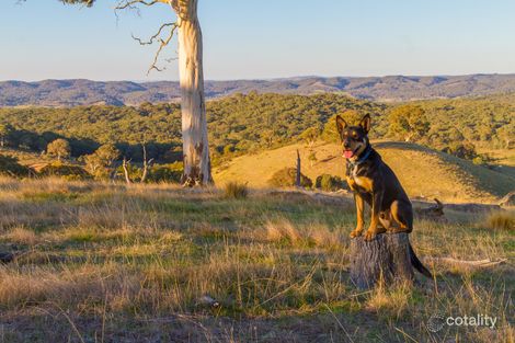 392 Johnson Rd, Yass River, NSW 2582