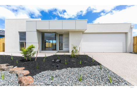 Property photo of 17 Wiyn Avenue Torquay VIC 3228