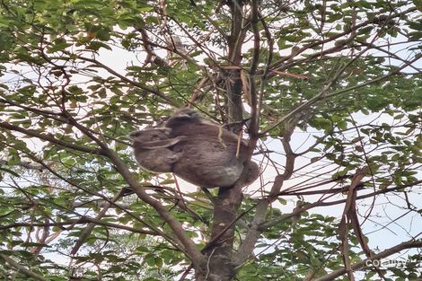 645 Jumbuk Rd, Yinnar South, VIC 3869