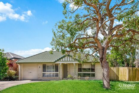 Property photo of 8 Vista Circuit Runcorn QLD 4113