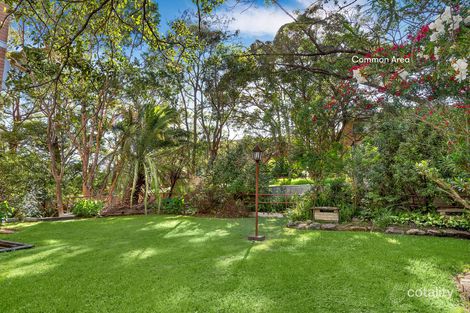 Property photo of 12/243-245 Ernest Street Cammeray NSW 2062