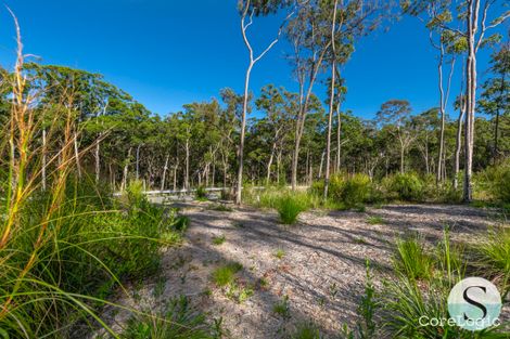 Property photo of 12 Tawny Close Murrays Beach NSW 2281