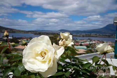 Property photo of 6 Natlee Crescent Old Beach TAS 7017