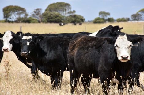 50 Magazine Lane, Sandy Grove, SA 5275