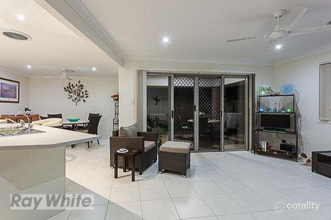 Property photo of 41 Jerrys Place Thornlands QLD 4164