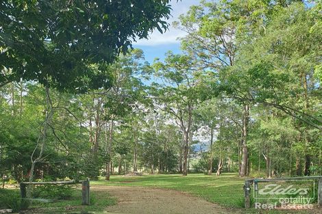 Property photo of 15 Pompo Close Wondecla QLD 4887