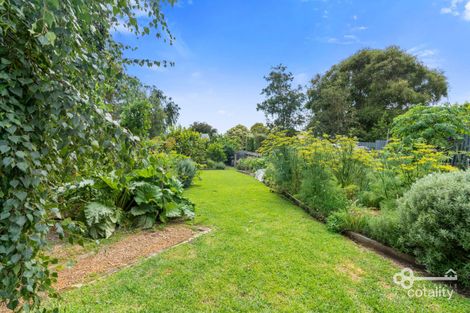 Property photo of 19 Power Street Mount Gambier SA 5290