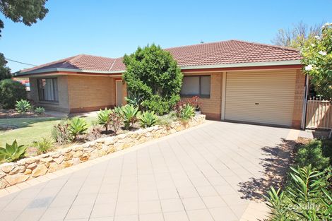 Property photo of 19 Story Crescent Renmark SA 5341