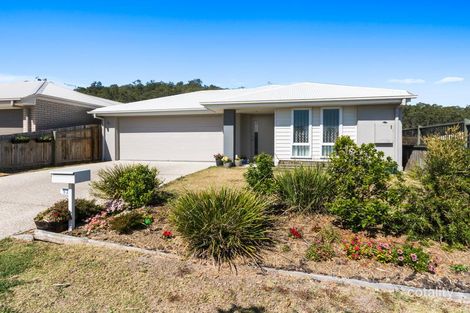 Property photo of 53 Cordeaux Crescent Redbank Plains QLD 4301