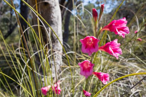 Property photo of 17/91 Strive Loop Girrawheen WA 6064