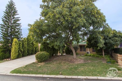Property photo of 7 Cestrum Rise South Lake WA 6164