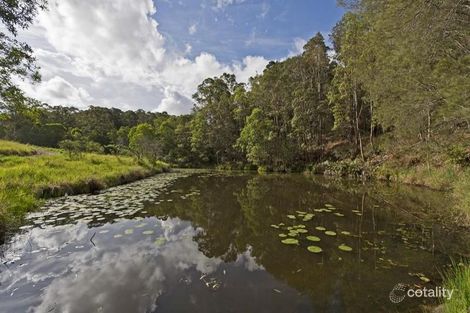 Property photo of 123 Arunta Drive Mount Nathan QLD 4211