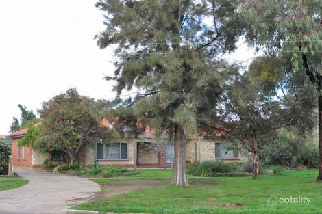 31 Simmons Cres, Flinders Park, SA 5025