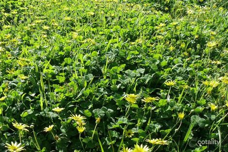 Lot 20 Myrup Rd, Myrup, WA 6450