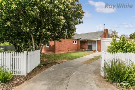 8 Wallira St, South Plympton, SA 5038