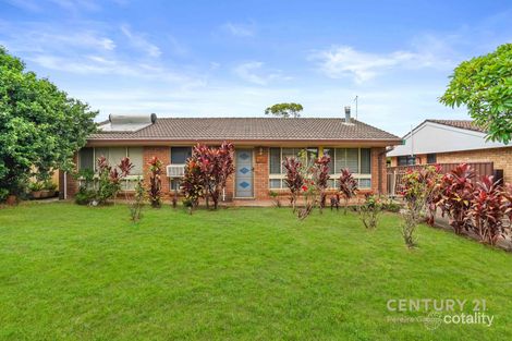 Property photo of 11 Collis Place Minto NSW 2566