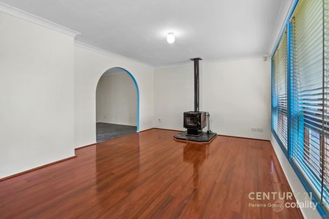 Property photo of 11 Collis Place Minto NSW 2566