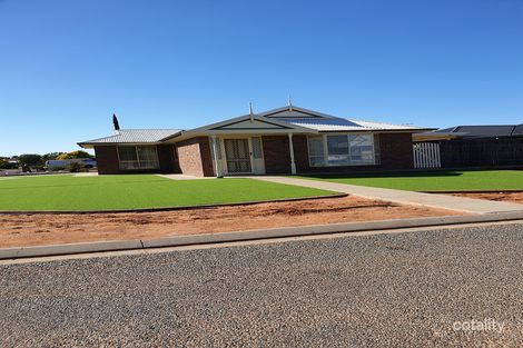 Property photo of 10 Meander Avenue Renmark SA 5341