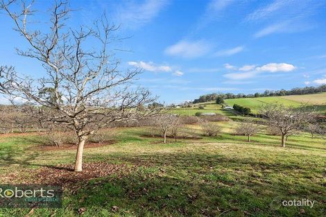 Property photo of 17 Lower Barrington Road Paloona TAS 7310
