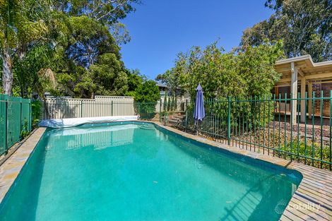 Property photo of 6 Launceston Avenue Banksia Park SA 5091