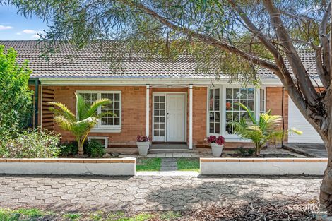 33 Torrens St, Linden Park, SA 5065