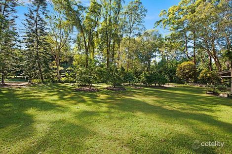 Property photo of 38 Barleycorn Avenue Buderim QLD 4556