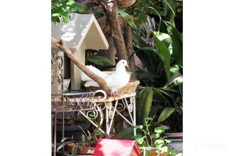 4/33 Creery St, Dudley Park, WA 6210