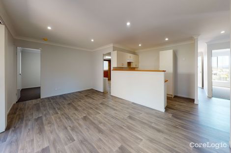 Property photo of 17 Carroll Avenue Rutherford NSW 2320