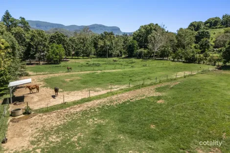 95 Upper Crystal Creek Rd, Upper Crystal Creek, NSW 2484