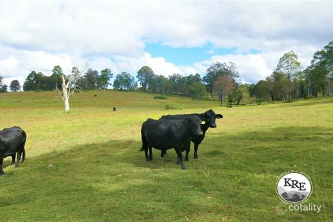 425 Old Dyraaba Rd, Woodview, NSW 2470