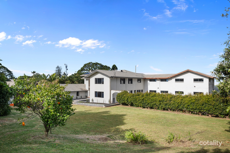 Property photo of 17 William Street Buderim QLD 4556