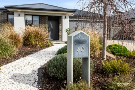 Property photo of 60 Thomas Street Strathalbyn SA 5255