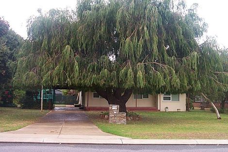 9 Mercedes Ave, Falcon, WA 6210