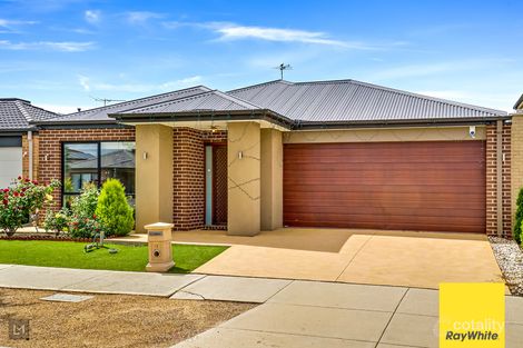 Property photo of 17 Manning Circuit Tarneit VIC 3029