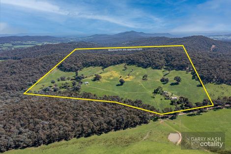 464 Carboor Upper Rd, Carboor, VIC 3678