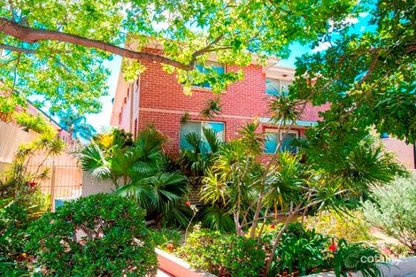 3/58 Minneapolis Cres, Maroubra, NSW 2035