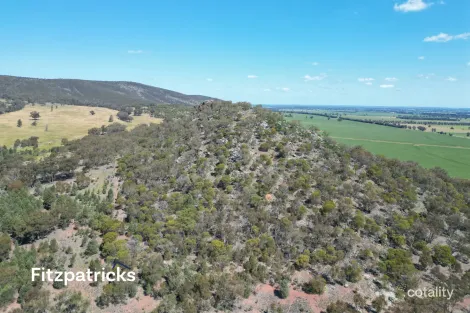 Property photo of 66 Gap Road The Rock NSW 2655