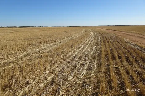 3397 Bendering Rd, Kondinin, WA 6367