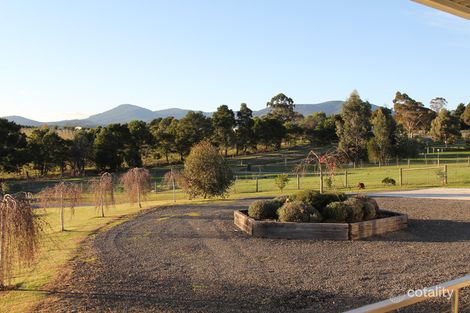 Property photo of 23 Henry Street Healesville VIC 3777