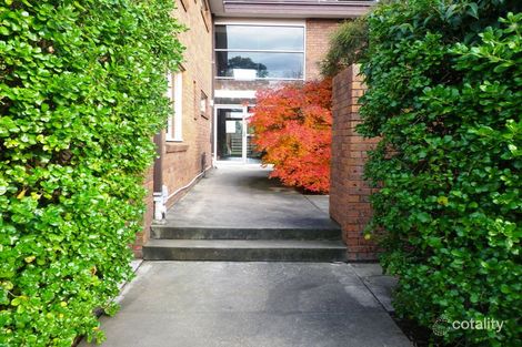 6/59-61 Green St, Ivanhoe, VIC 3079