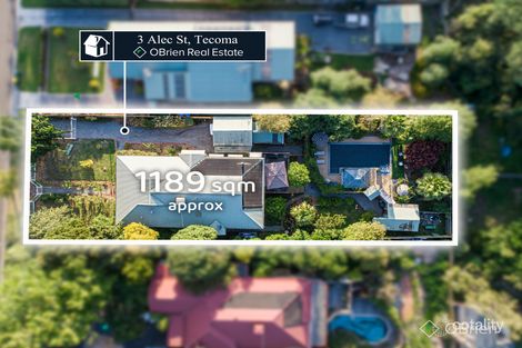 Property photo of 3 Alec Street Tecoma VIC 3160