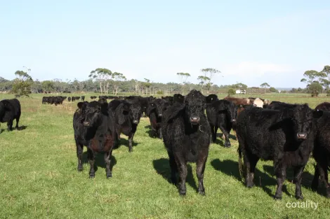 369 Giddens Rd, Smithton, TAS 7330