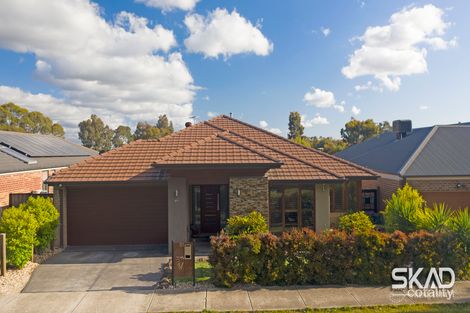 Property photo of 31 Dalmeny Way Mernda VIC 3754